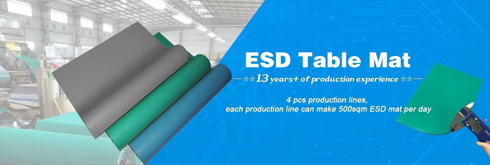 Cleanroom Manufacturing Facility